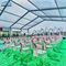 現代大きい屋外の結婚式のテントのアルミニウム避難所300のSeaterの活動